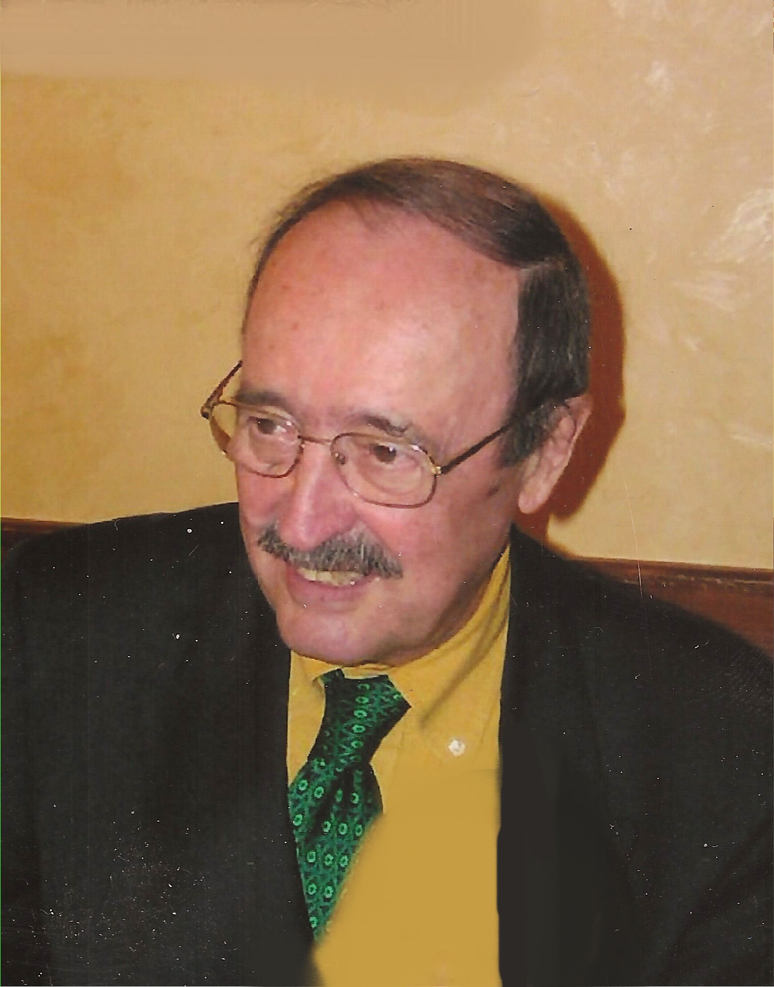 TOFFANIN RAFFAELLO